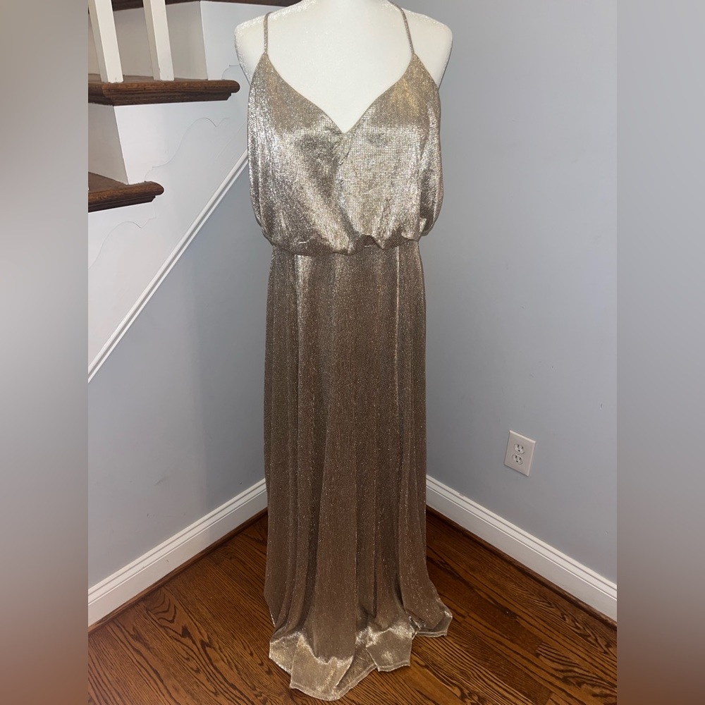 Hayley Paige Size 12.